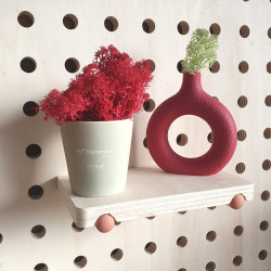 Tourillon 138mm avec embout couleur pour pegboard